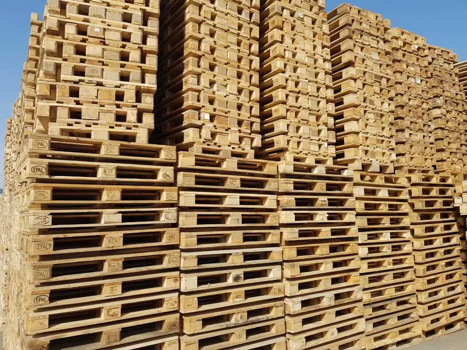 Pallets from Turkuaz Patron